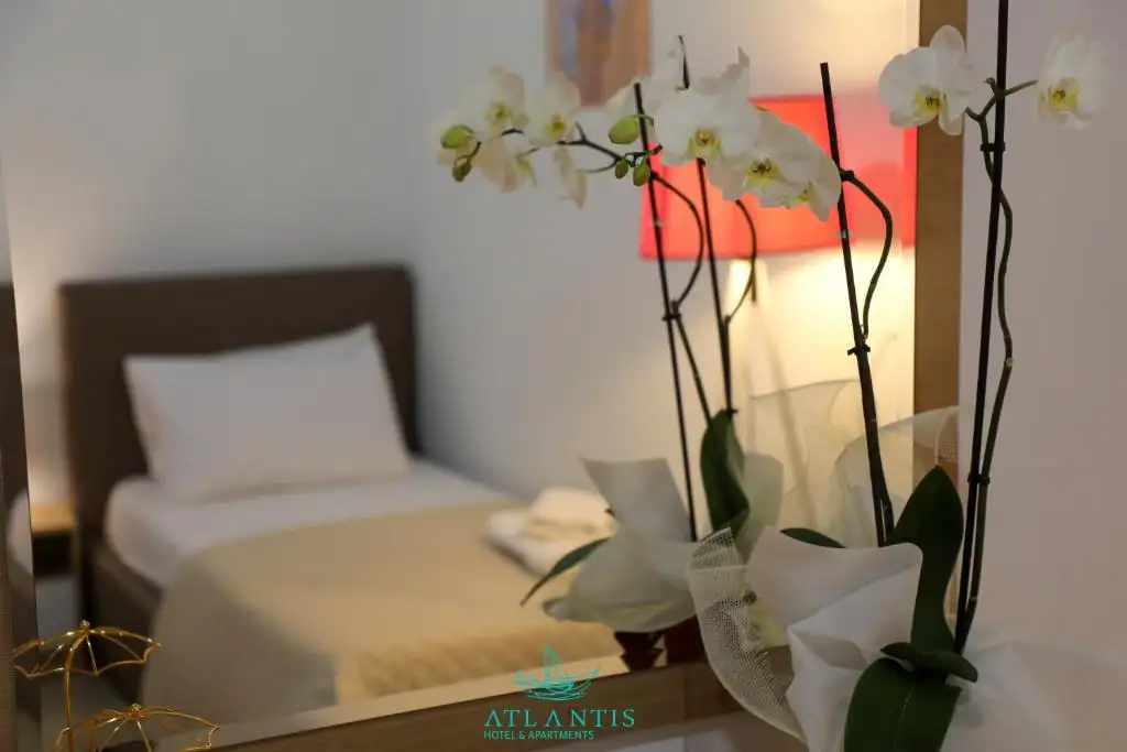 Deluxe Suite image 8