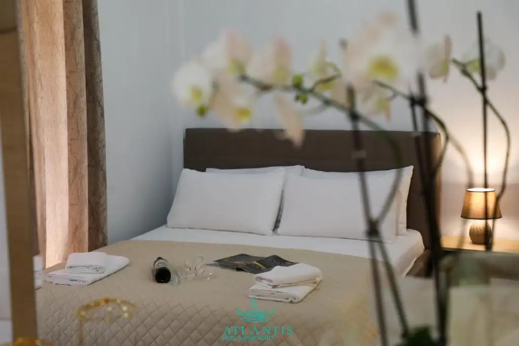 Deluxe Suite image 9