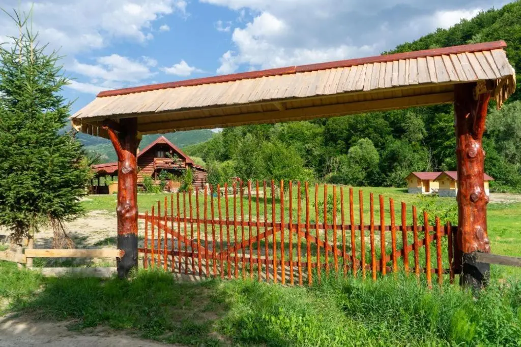 img_id_2470844.webp