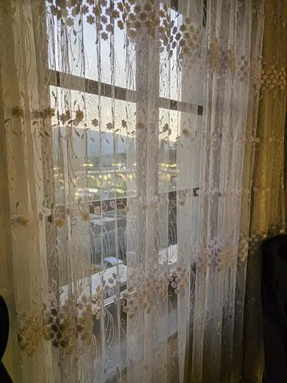 img_id_552248.webp