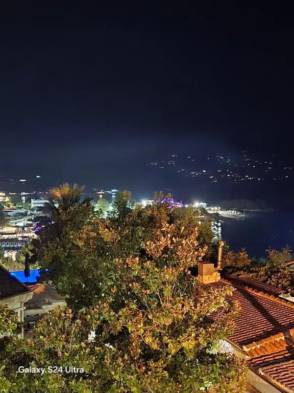 img_id_538252.webp