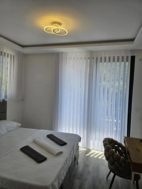 img_id_2470408.webp