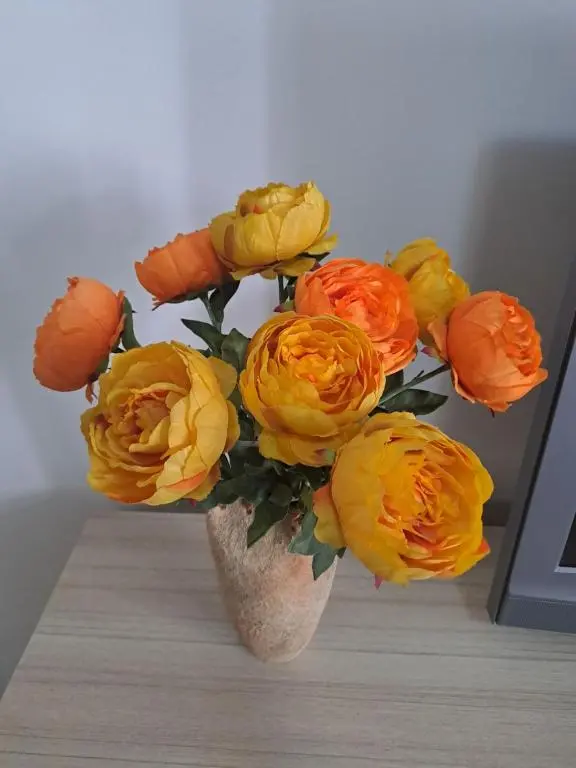 img_id_2470279.webp
