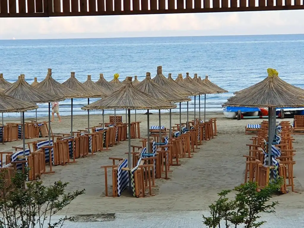 img_id_561106.webp