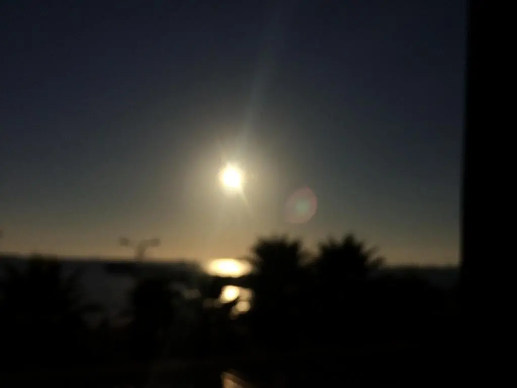 img_id_1091901.webp