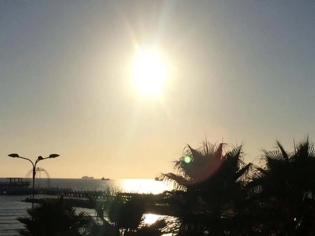 img_id_1091908.webp