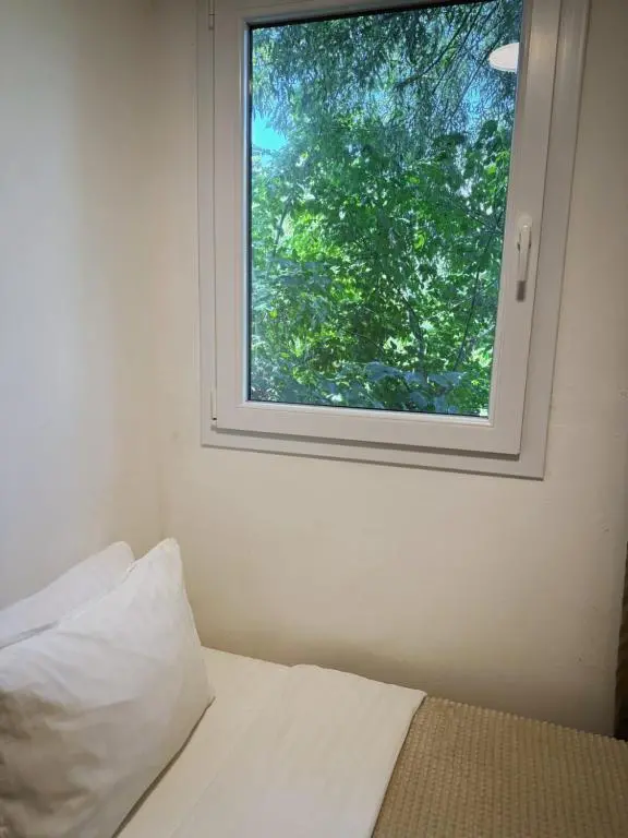 img_id_898317.webp
