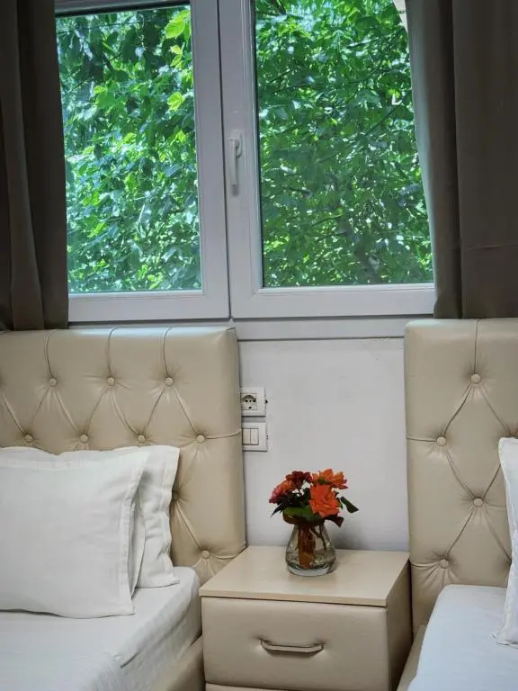 img_id_898322.webp