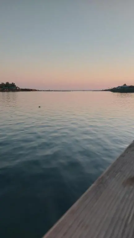 img_id_2470142.webp