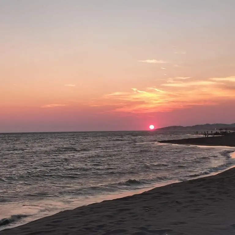 img_id_2470143.webp