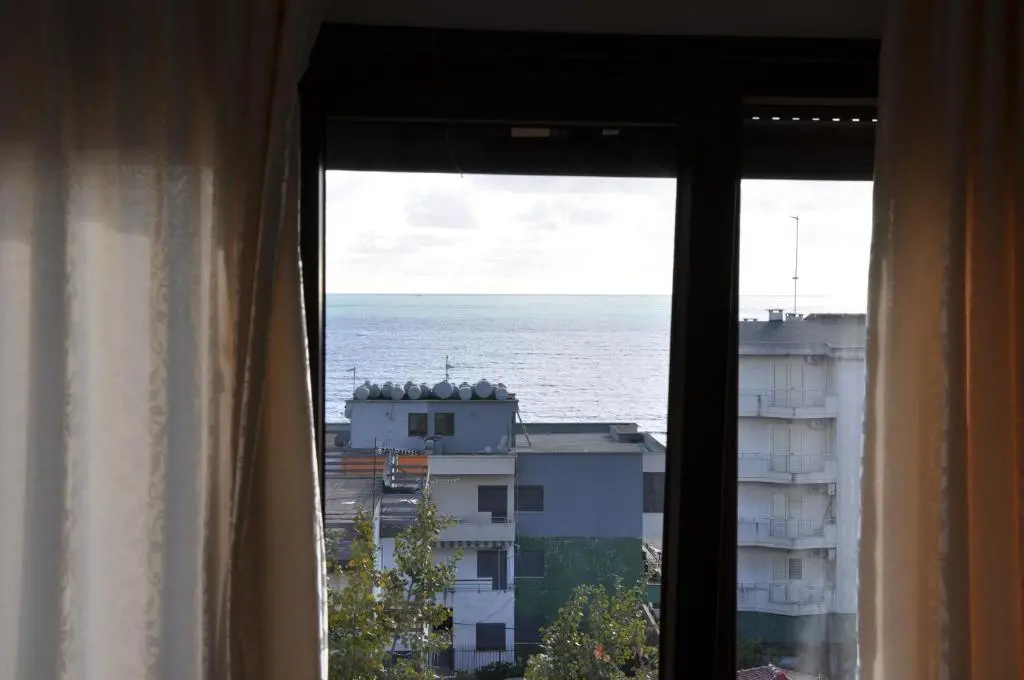 img_id_981844.webp