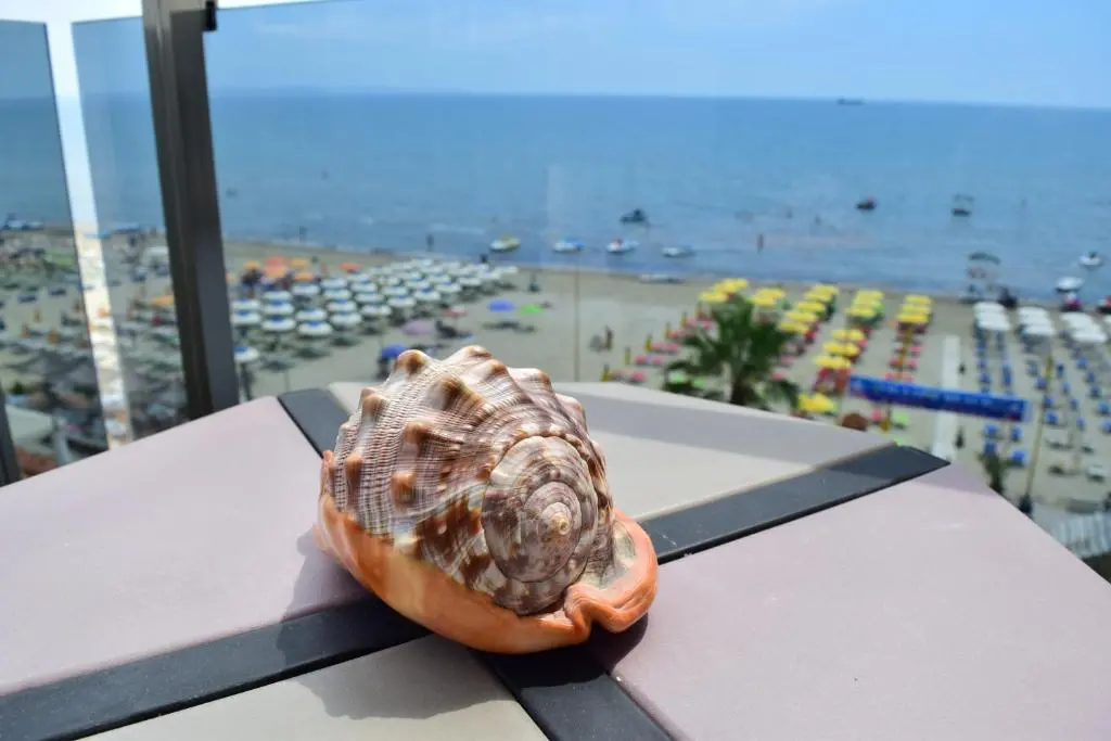 img_id_1093421.webp