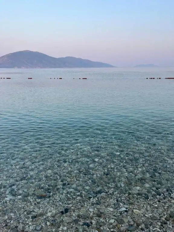 img_id_571783.webp