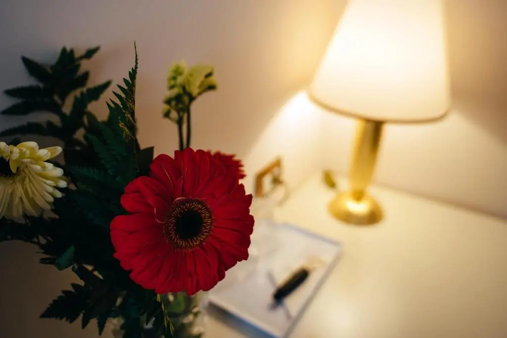 img_id_1229259.webp
