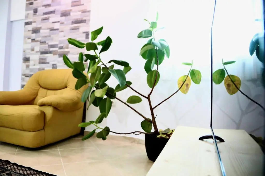 img_id_1050442.webp