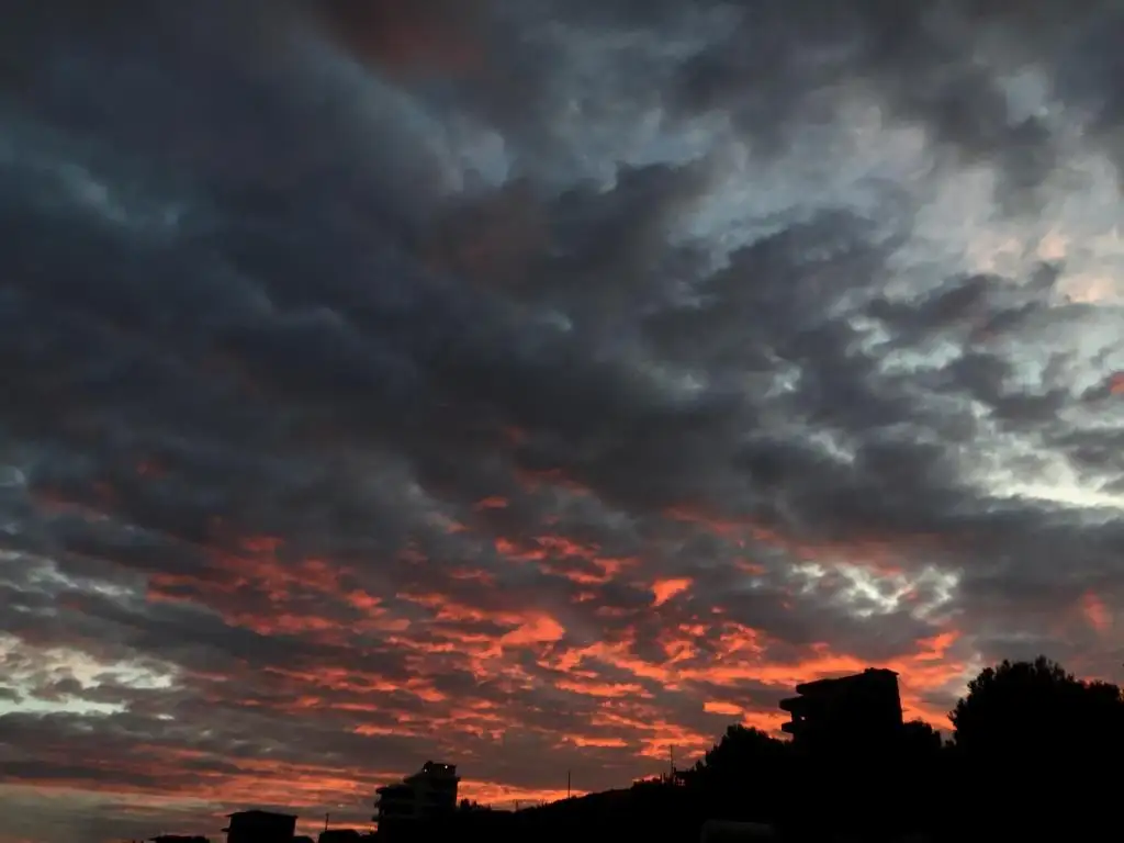 img_id_592798.webp