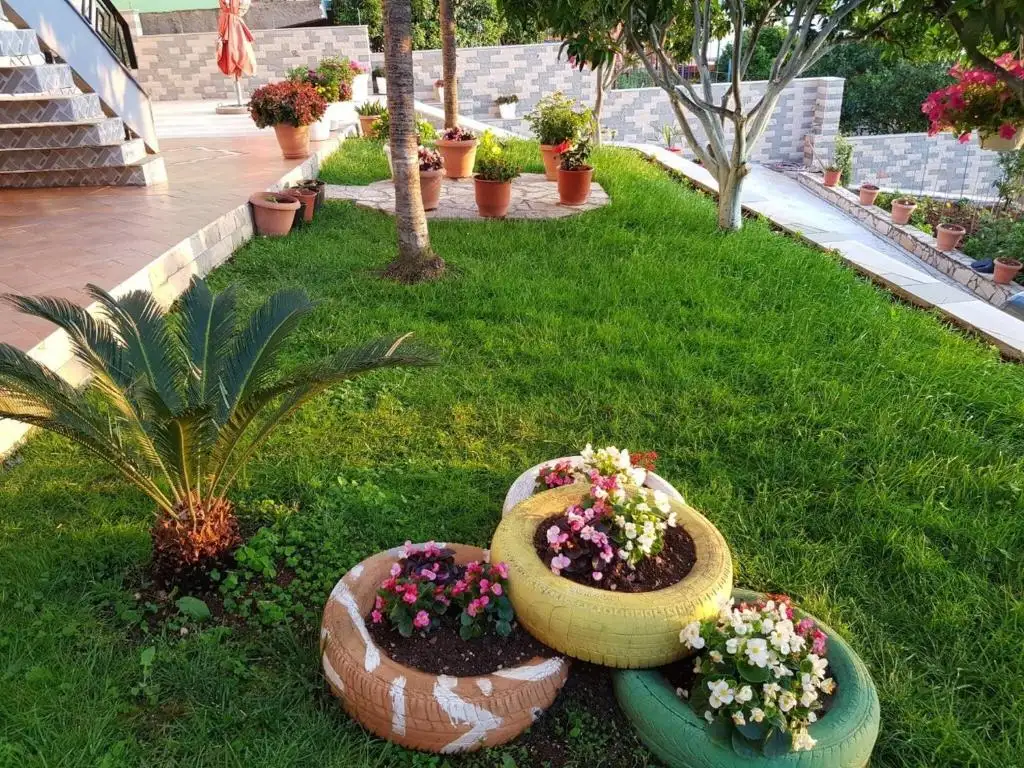 img_id_593934.webp