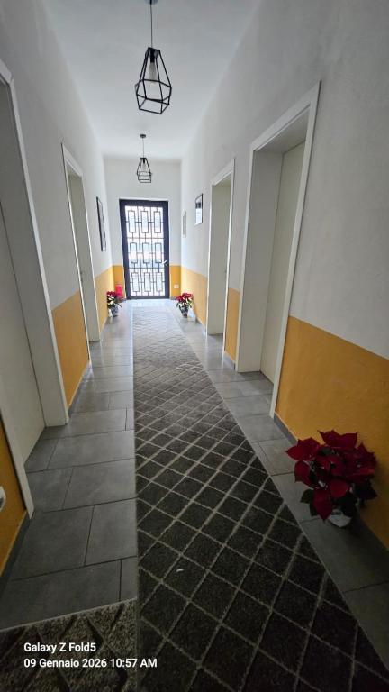 img_id_1051073.jpg