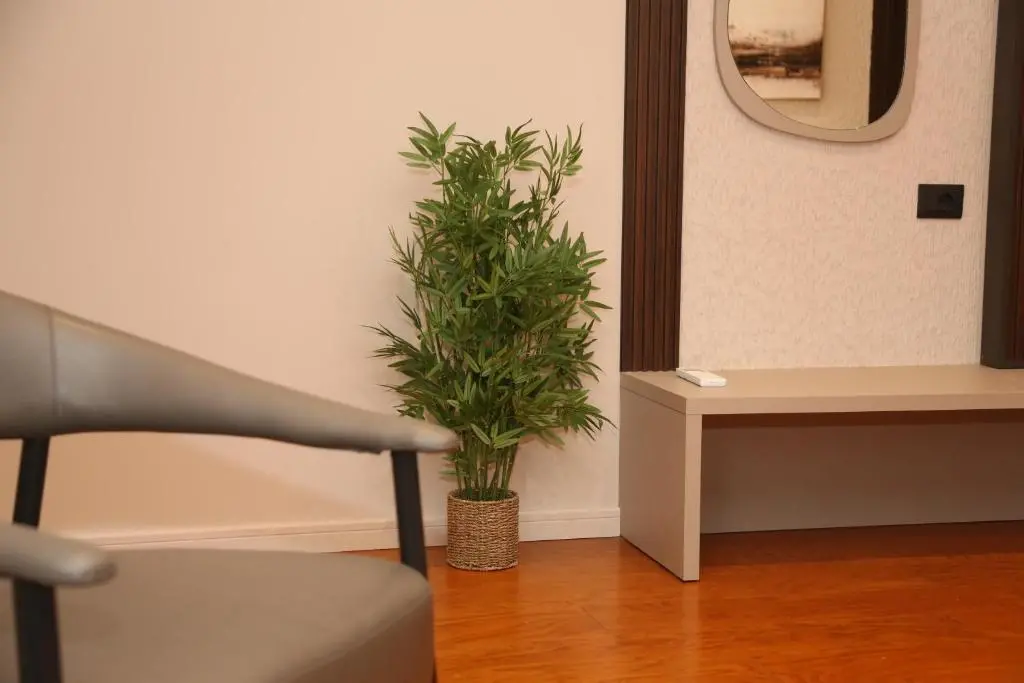 img_id_1049966.webp