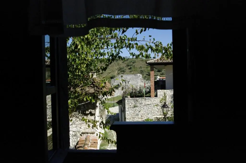 img_id_962805.webp