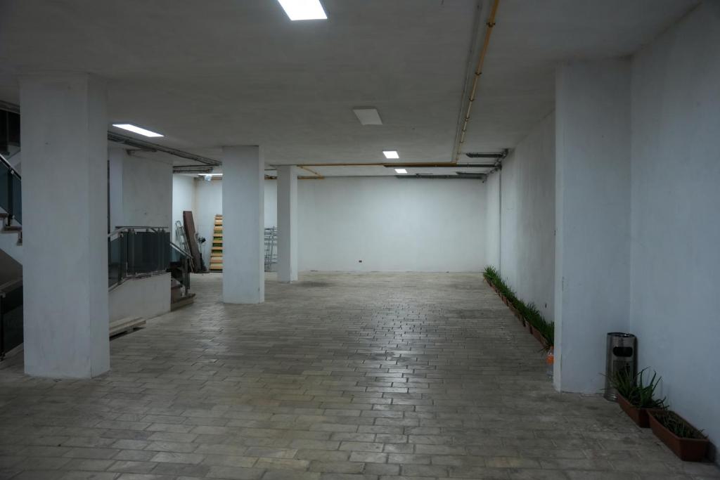 img_id_997369.jpg