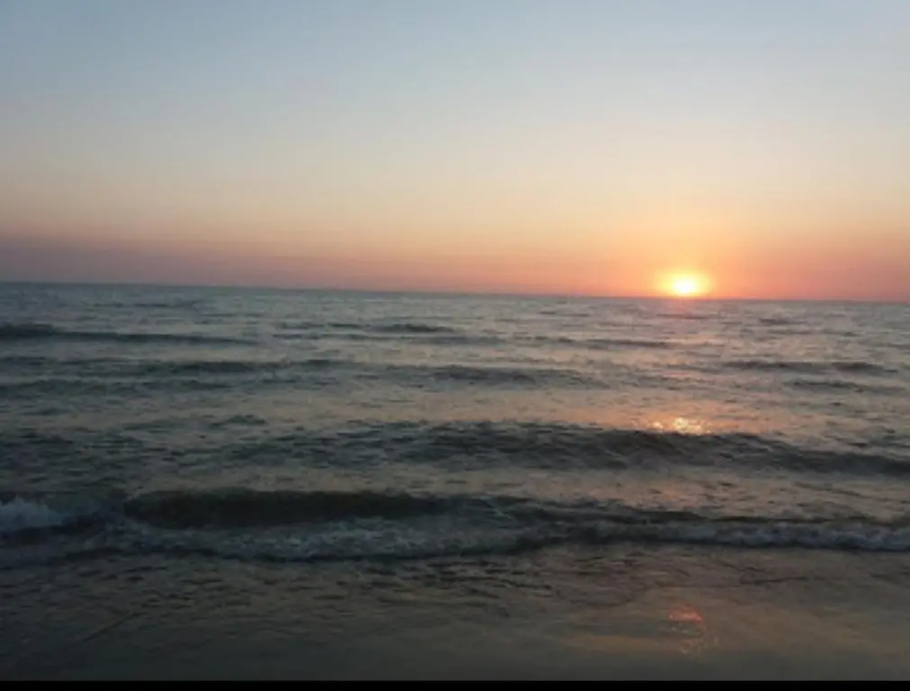 img_id_969628.webp