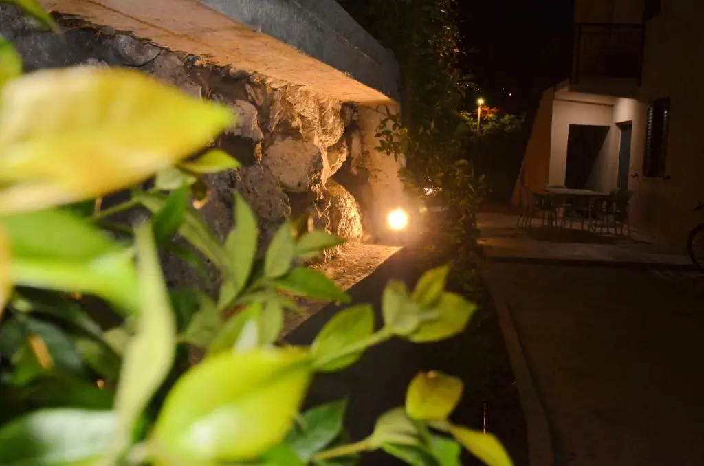 img_id_2467015.webp