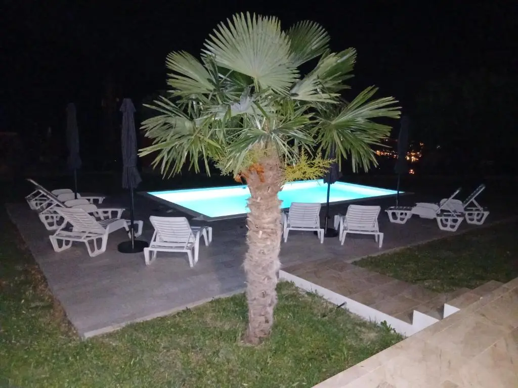 img_id_2467031.webp