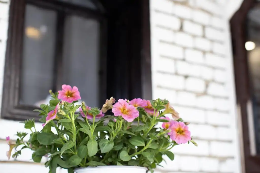 img_id_613379.webp