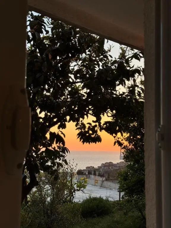 img_id_2466861.webp
