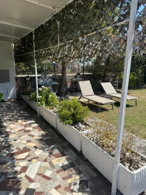 img_id_1730262.webp