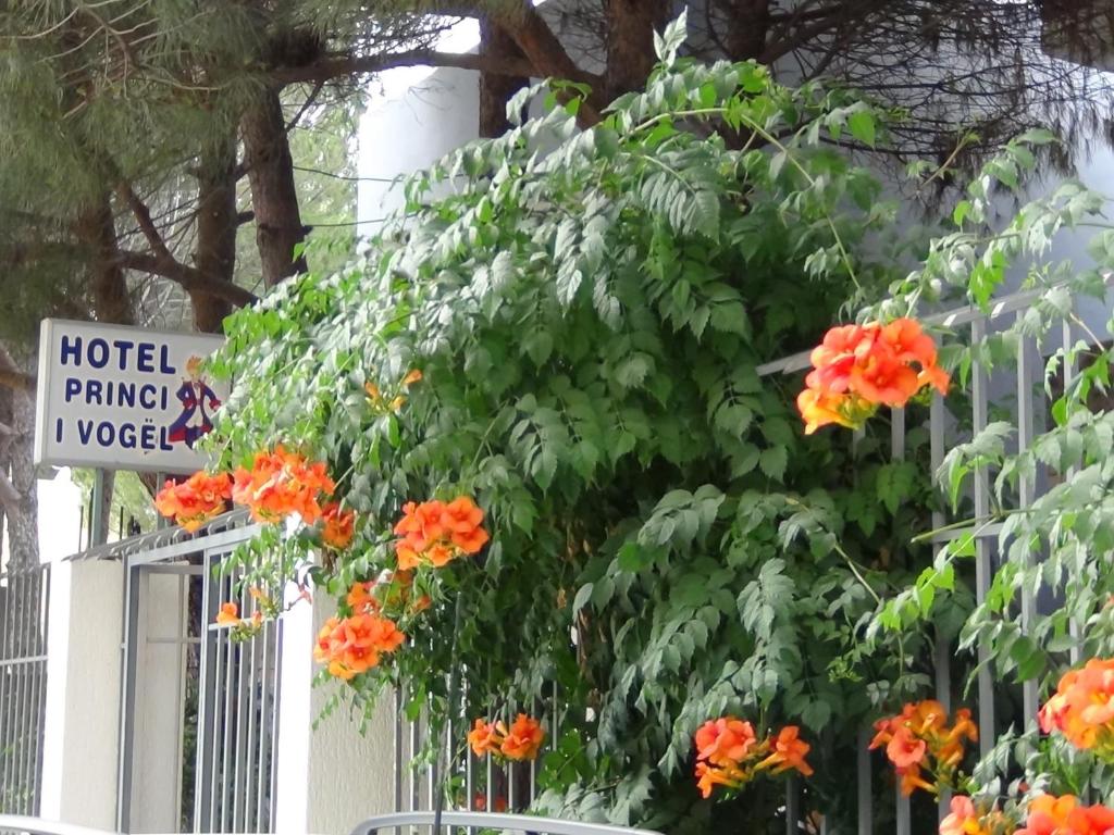 img_id_1082296.jpg