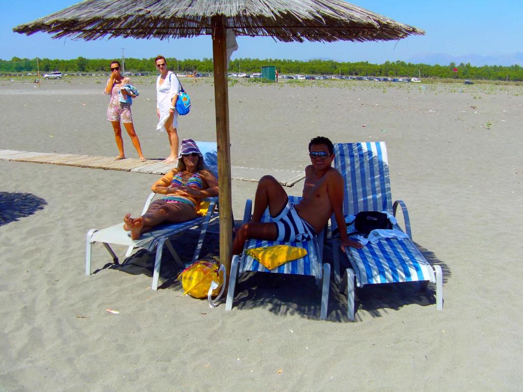 img_id_1116353.jpg