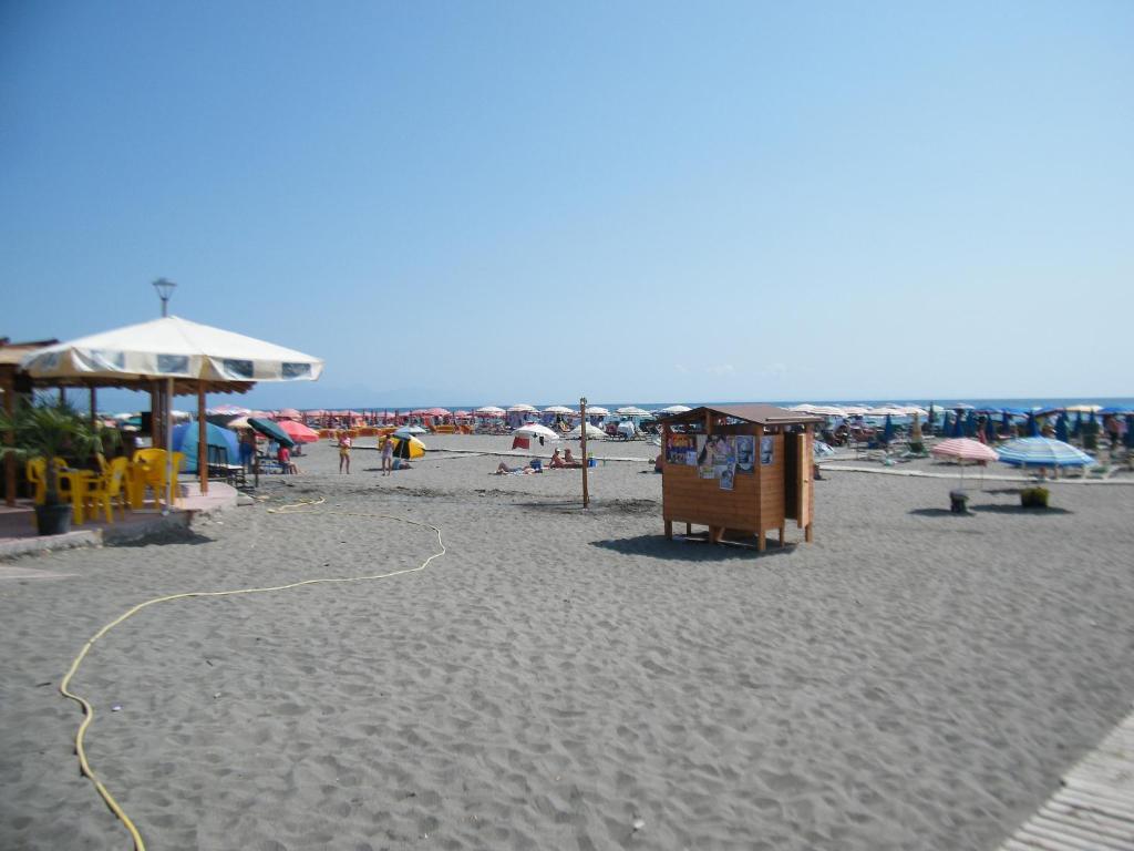 img_id_1116356.jpg