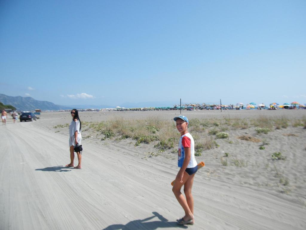 img_id_1116384.jpg
