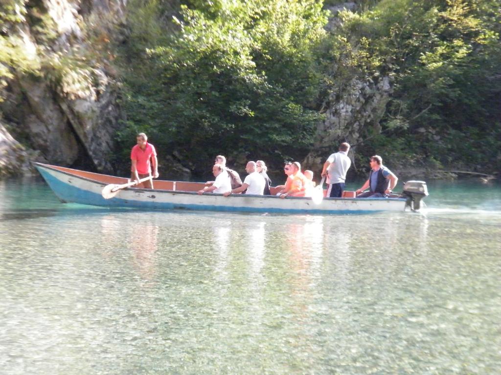 img_id_1116400.jpg