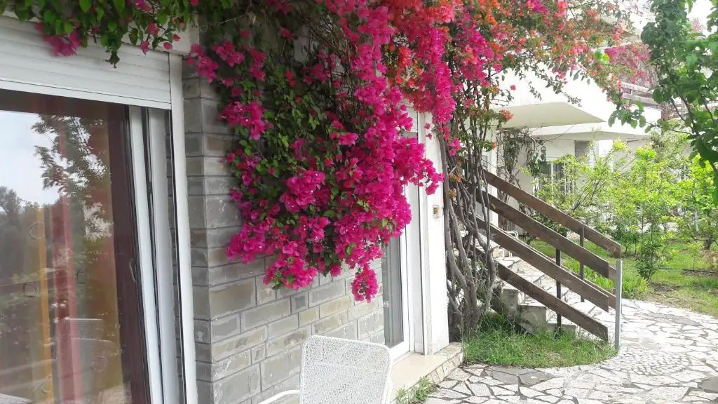 img_id_580568.webp