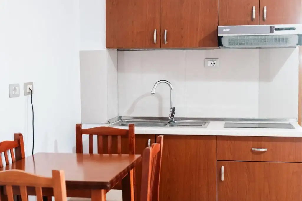 One-Bedroom Apartment image 6