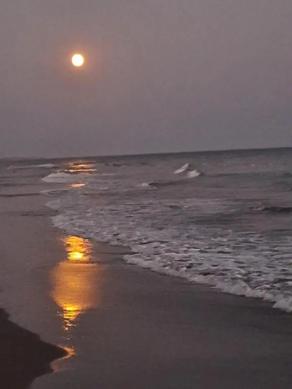 img_id_2465691.webp