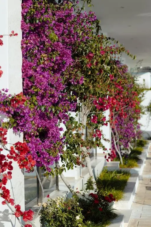 img_id_1504257.webp