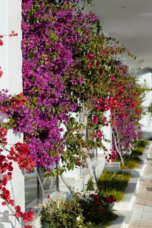 img_id_601495.webp