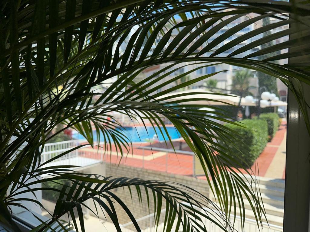 img_id_935927.jpg