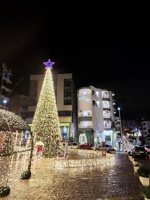 img_id_935671.webp