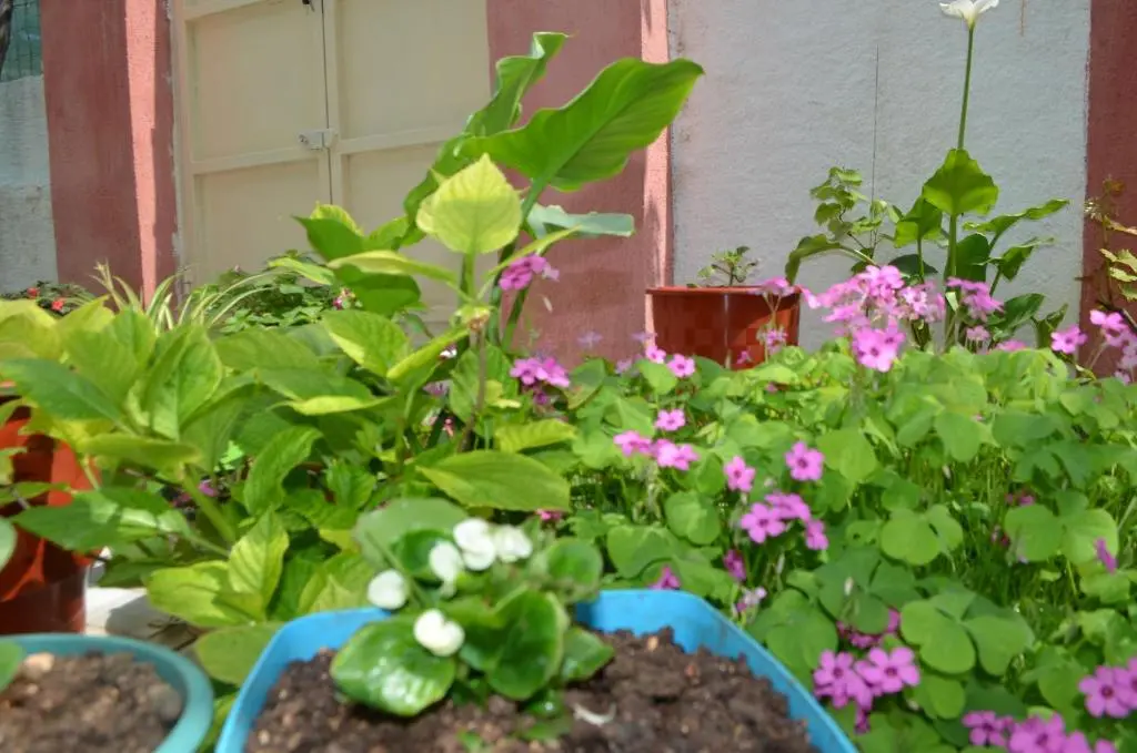img_id_1422752.webp