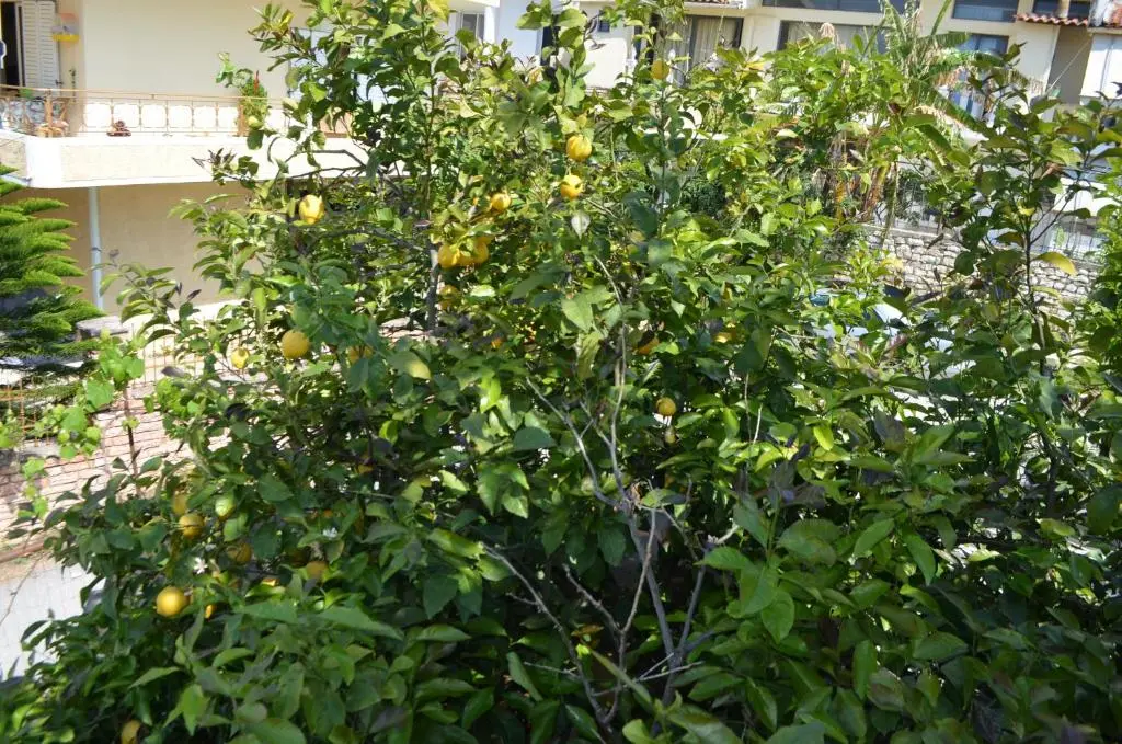 img_id_1422760.webp