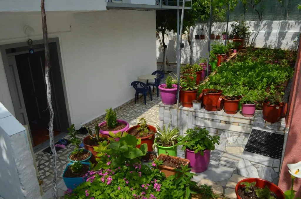 img_id_1422761.webp