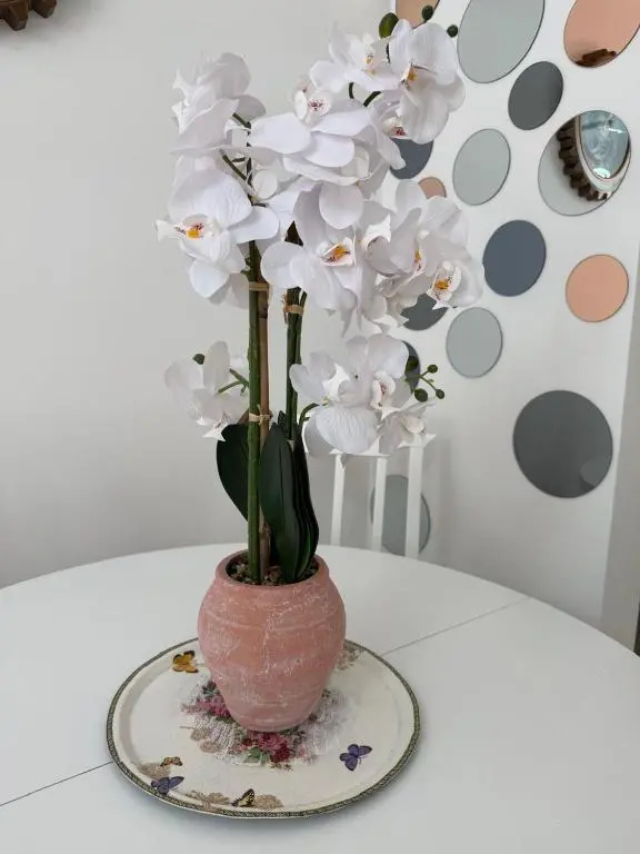 img_id_2464407.webp