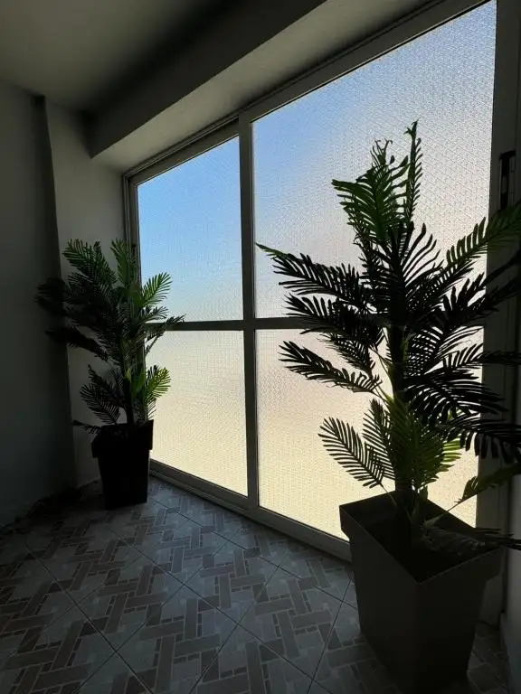 img_id_686734.webp