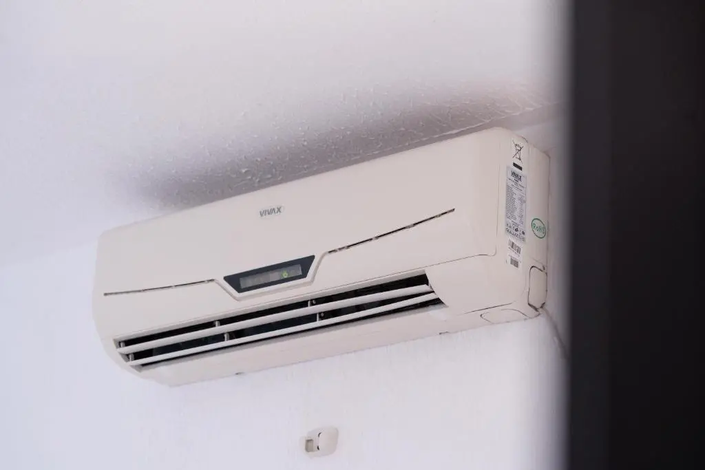 img_id_2463334.webp