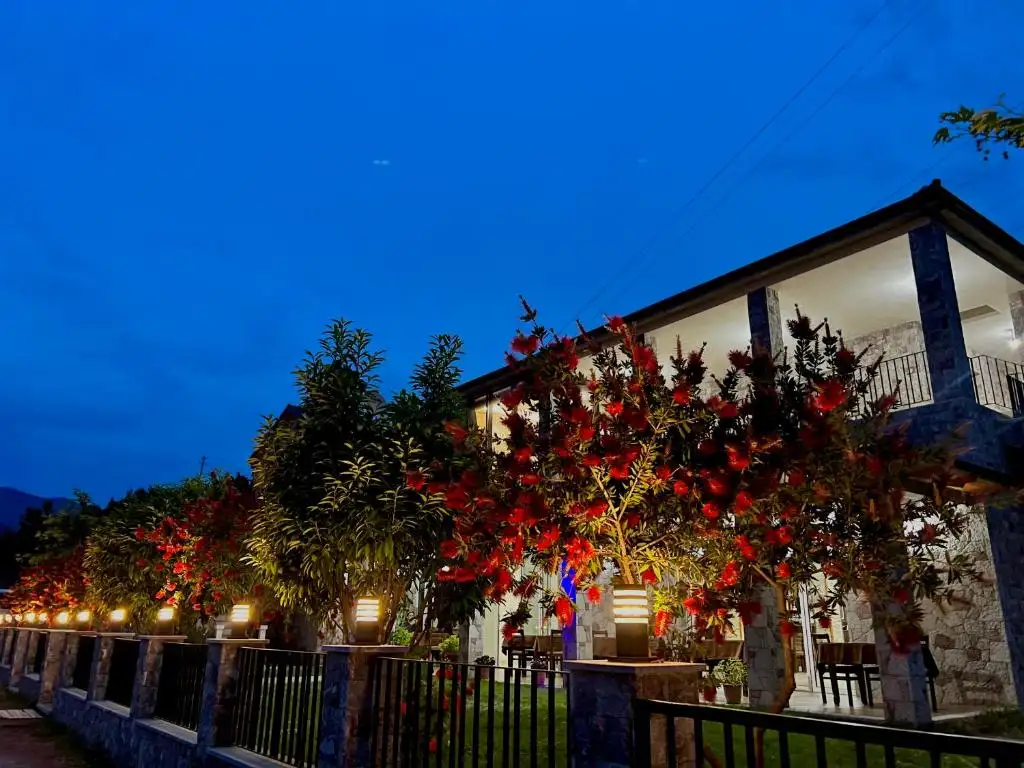 img_id_609239.webp